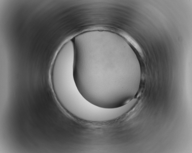X0000091580813200709171114