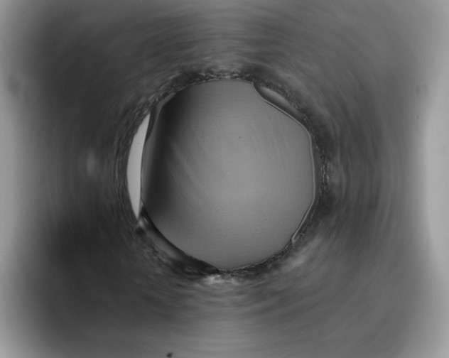 X0000091580818200709171114