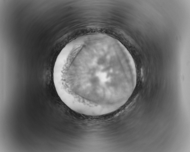 X0000091580821200709171114