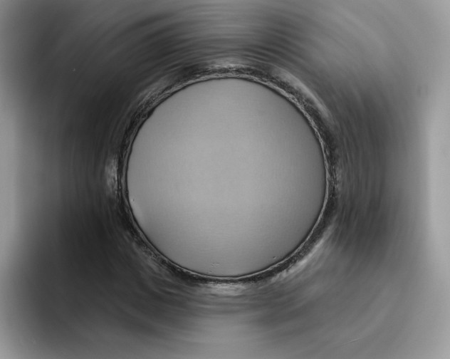 X0000091580825200709171114