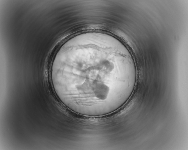 X0000091580827200709171114
