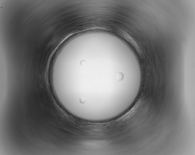 X0000091580828200709171114