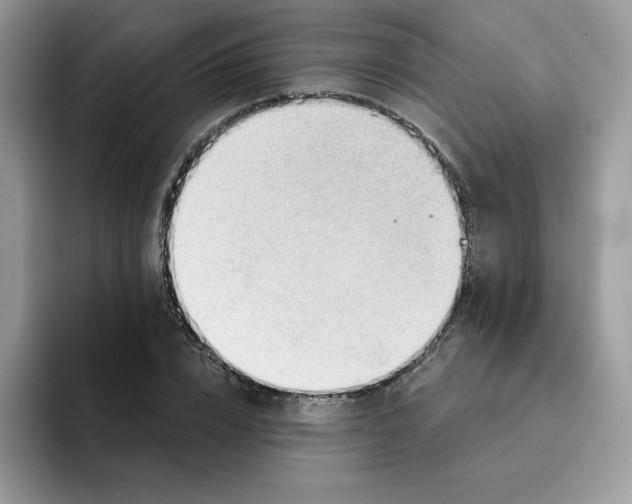 X0000091580832200709171114