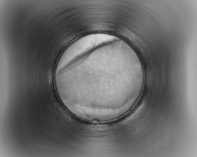 X0000091580833200709171114