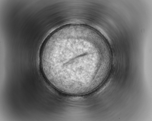 X0000091580837200709171114