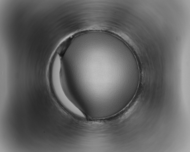 X0000091580838200709171114