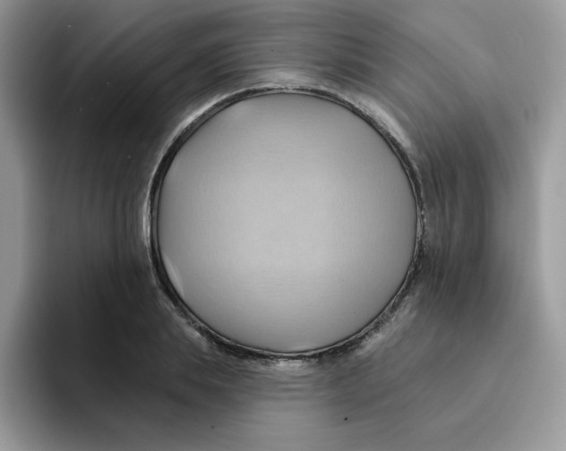X0000091580839200709171114