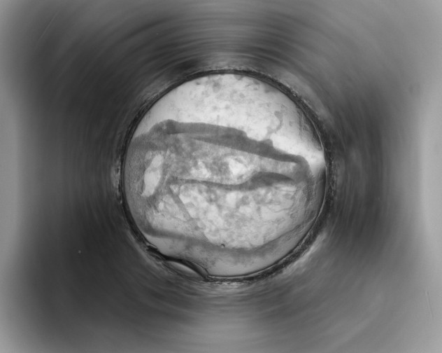 X0000091580841200709171114