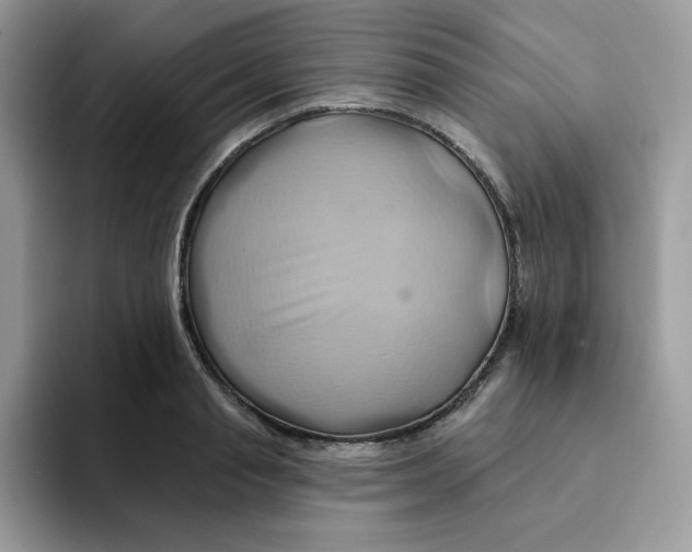 X0000091580845200709171114