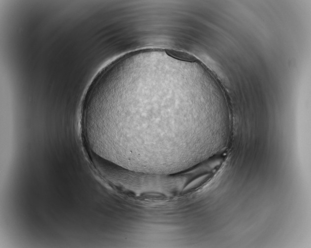 X0000091580846200709171114