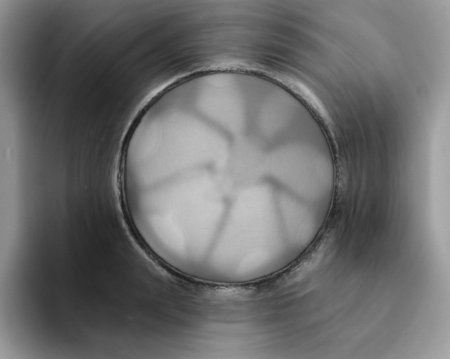 X0000091580847200709171114