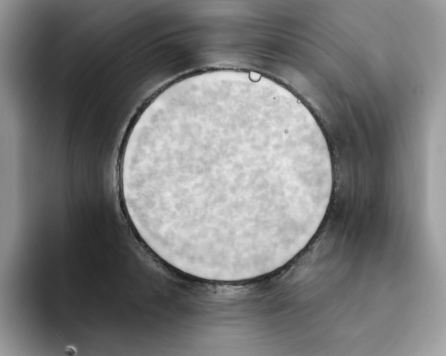 X0000091580848200709171114