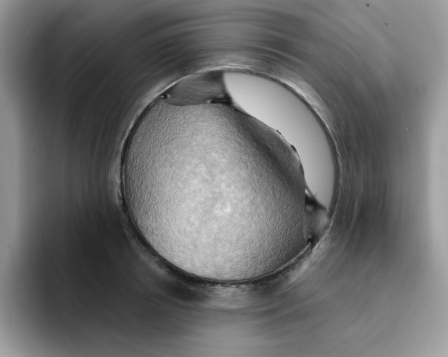 X0000091580850200709171114