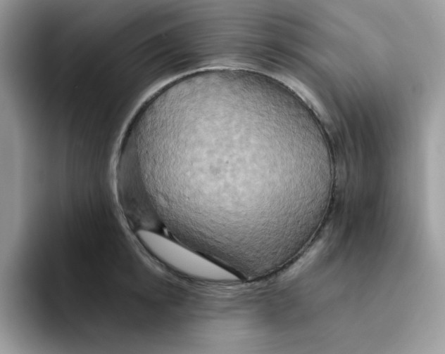 X0000091580854200709171114