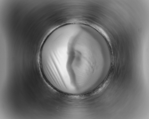 X0000091580855200709171114
