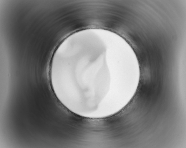 X0000091580856200709171114