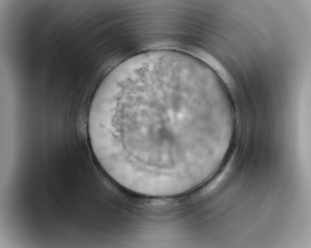 X0000091580857200709171114