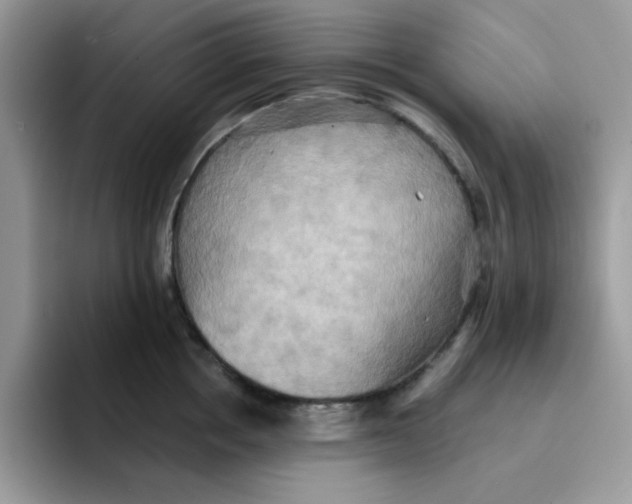 X0000091580858200709171114