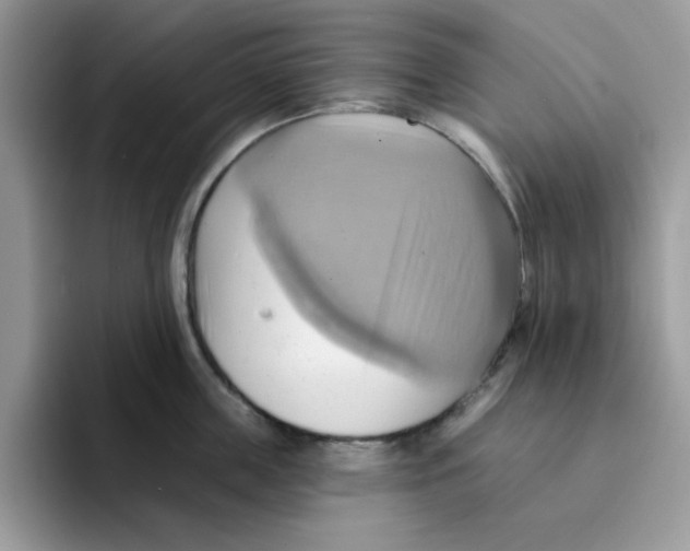 X0000091580859200709171114