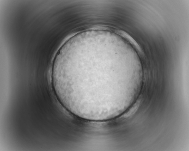 X0000091580860200709171114