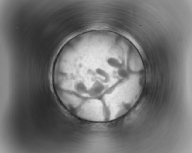 X0000091580861200709171114