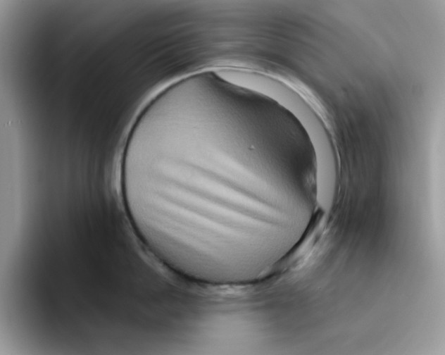 X0000091580862200709171114