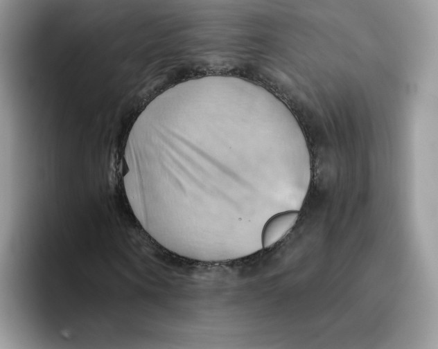 X0000091580866200709171114