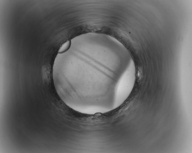 X0000091580867200709171114