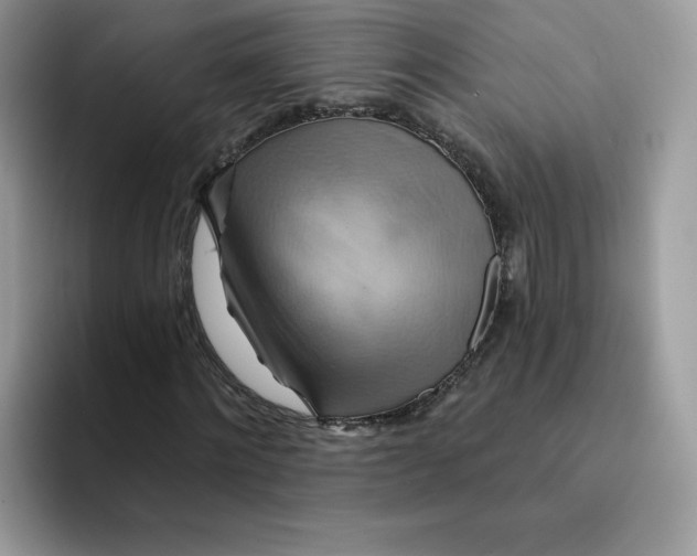 X0000091580868200709171114