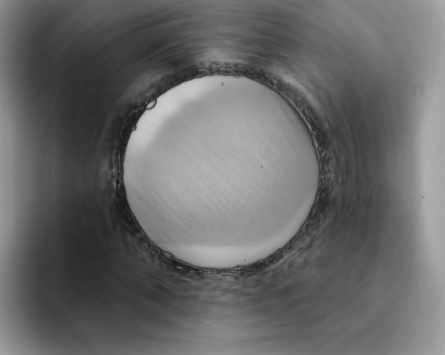 X0000091580870200709171114