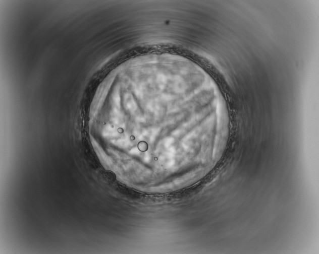 X0000091580871200709171114
