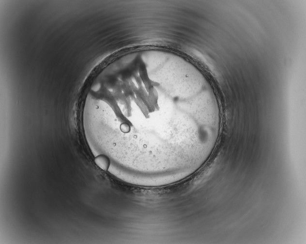 X0000091580875200709171114