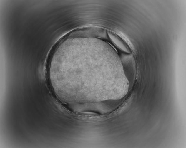X0000091580876200709171114
