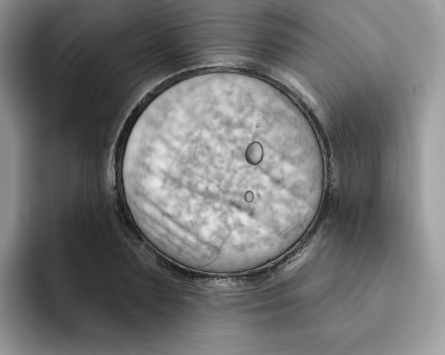 X0000091580883200709171114