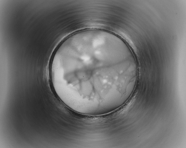 X0000091580891200709171113
