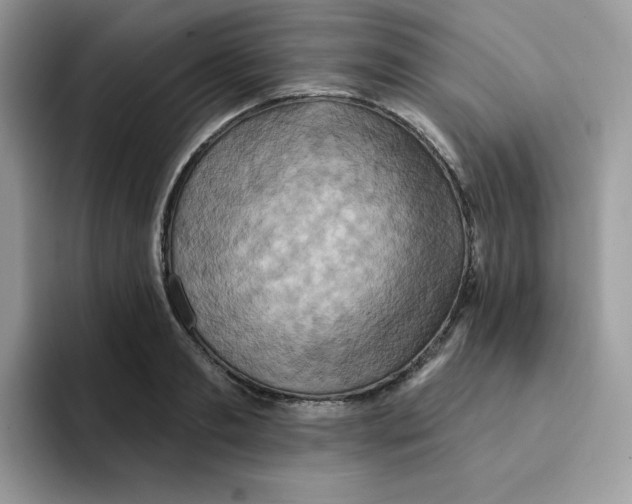 X0000091580893200709171113