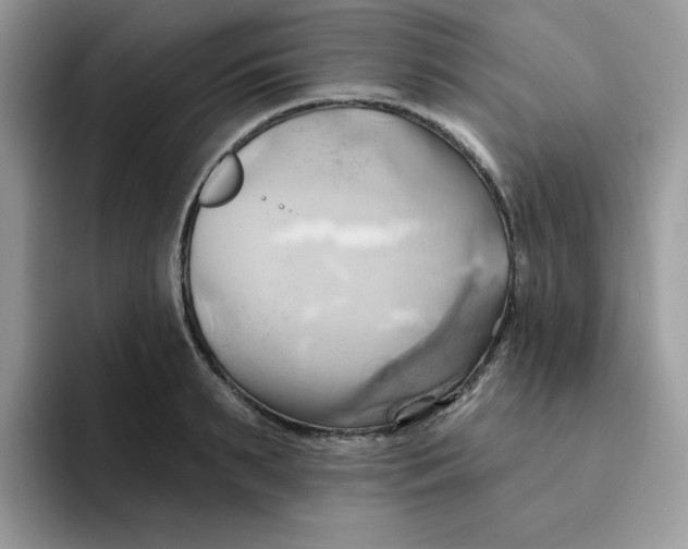X0000091580895200709171113
