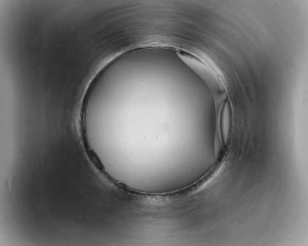 X0000091580901200709171113
