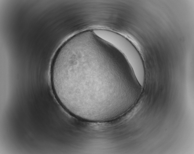 X0000091580902200709171113