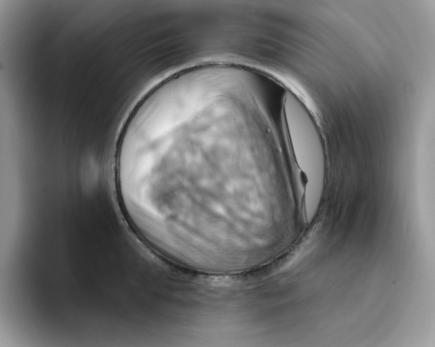 X0000091580903200709171113