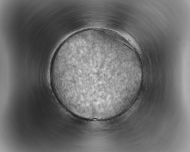 X0000091580904200709171113