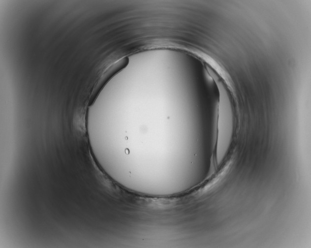 X0000091580905200709171113