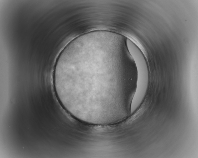 X0000091580906200709171113
