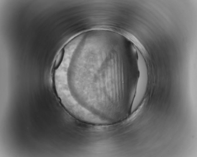 X0000091580908200709171113