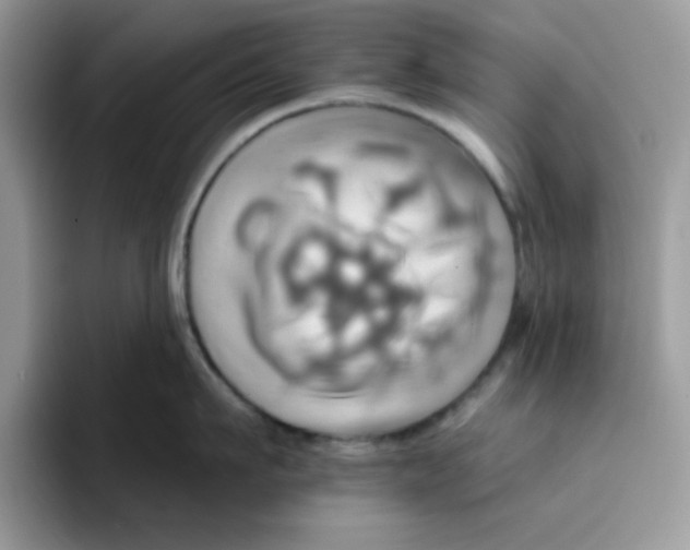 X0000091580911200709171113