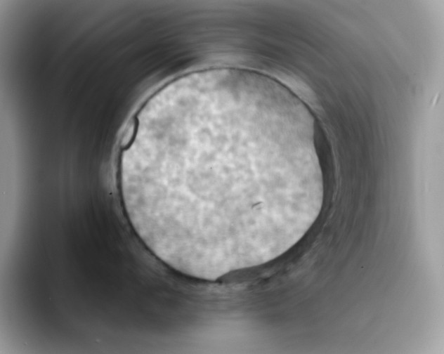 X0000091580912200709171113