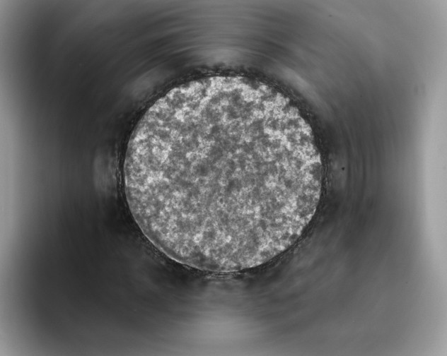 X0000091580918200709171113