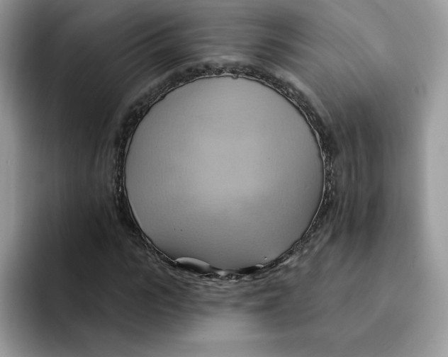 X0000091580919200709171113