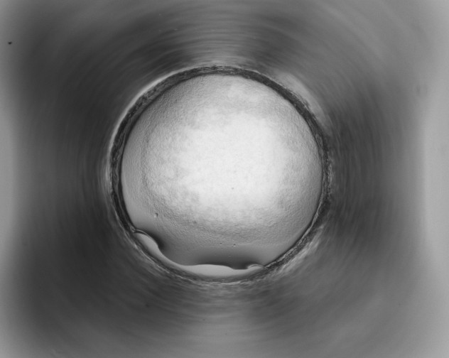 X0000091580924200709171113