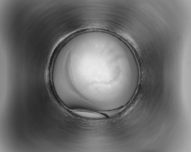 X0000091580928200709171113